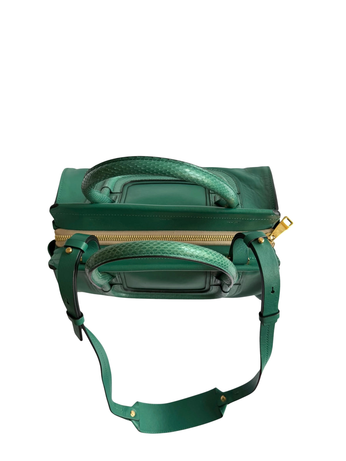 Chloé green Everston leather snakeskin trimmed bag