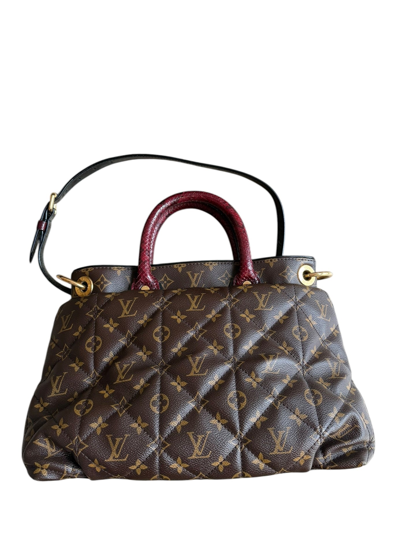 Louis Vuitton Etoile monogram exotique bag