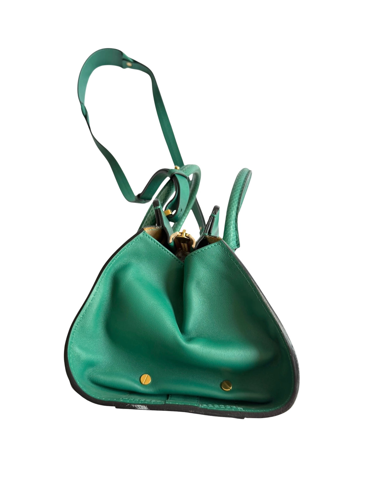 Chloé green Everston leather snakeskin trimmed bag
